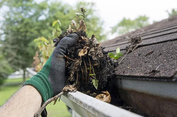 neglecting gutter cleaning can lead to clogs, leaks, and damage to your home's foundation